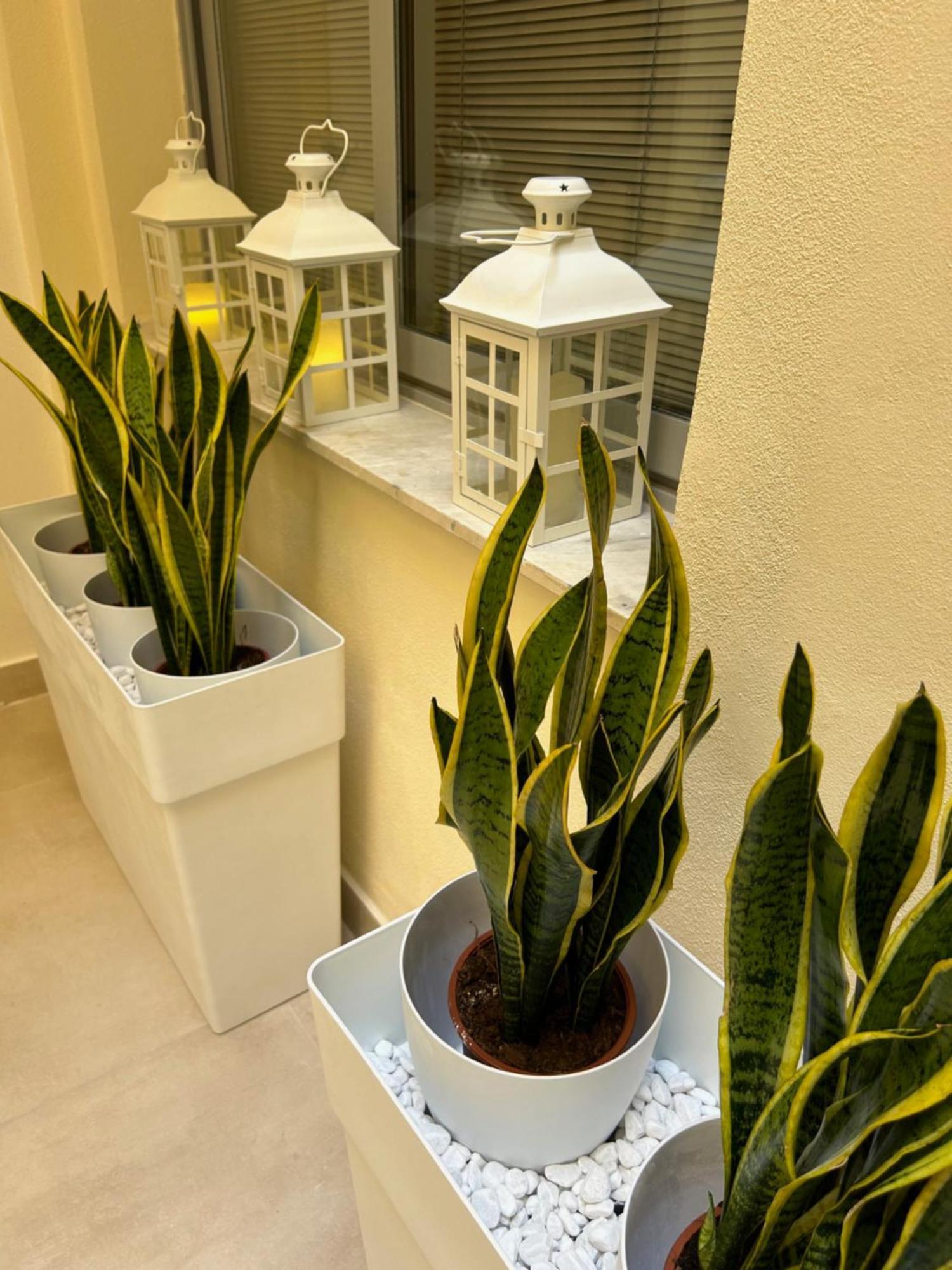 Casa Lounge Costituzione Hotell Cagliari Eksteriør bilde